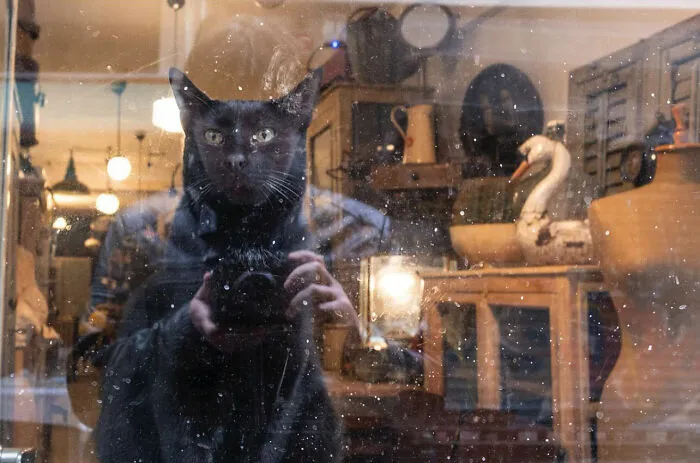 This Street Photographer Proves That Timing Is Everything, And Here Are His 36 New Shots