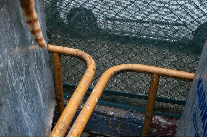 This Street Photographer Proves That Timing Is Everything, And Here Are His 36 New Shots