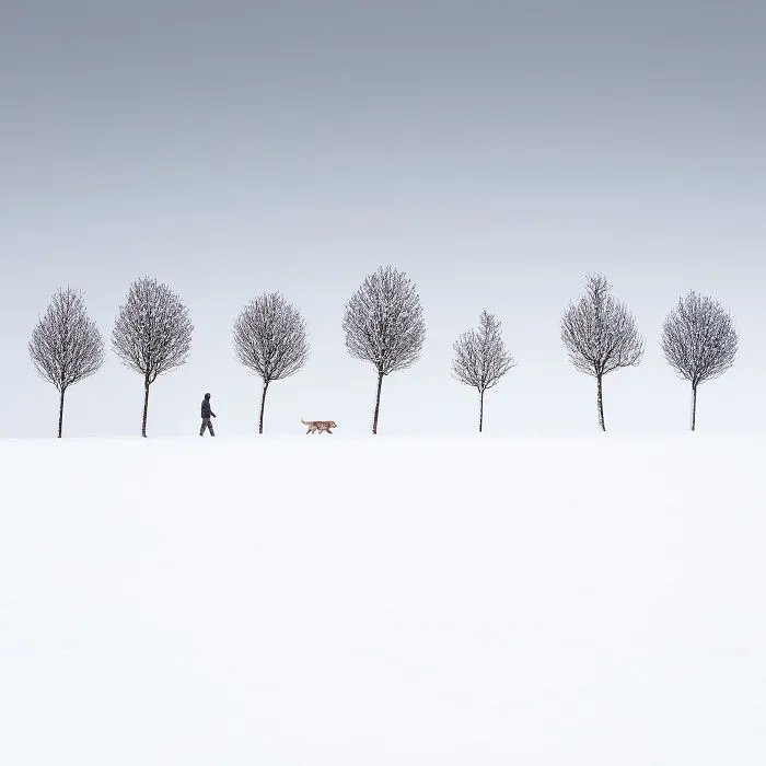 Landscape, 1st Place: Martin Rak, Art Of Winter