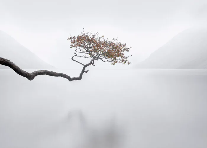 Long Exposure, 3rd Place: Richie Johns, Branching Out