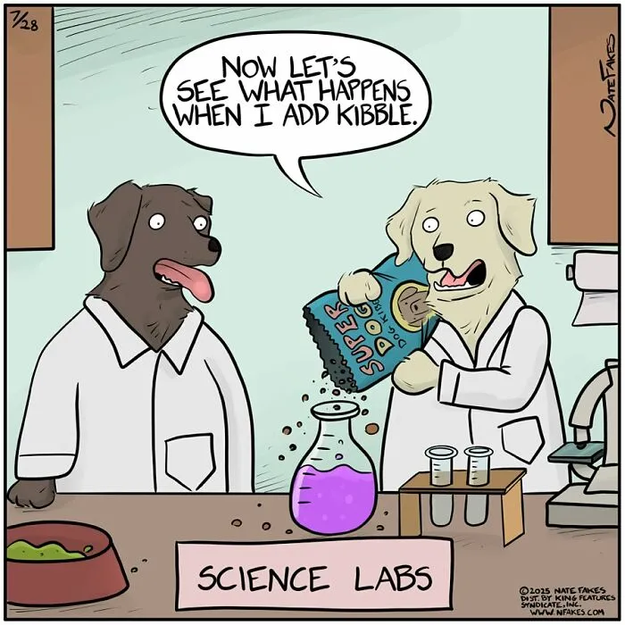 50 Witty Comics By Nate Fakes That Nail Life’s Absurdities (New Pics)
