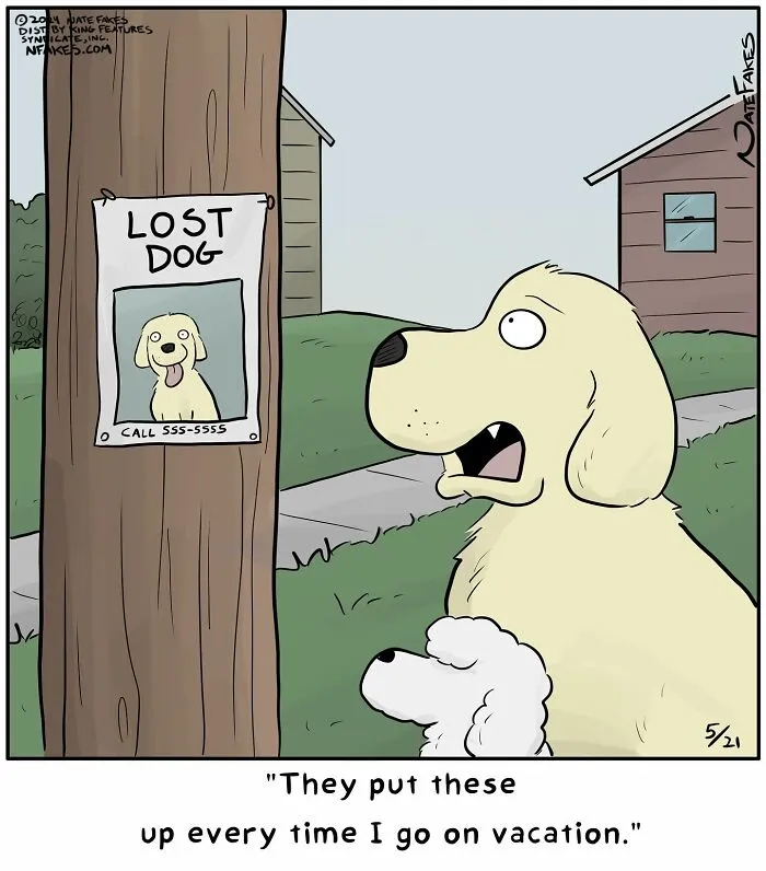 50 Witty Comics By Nate Fakes That Nail Life’s Absurdities (New Pics)