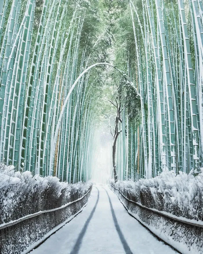 Photo By Lu Hasegawa