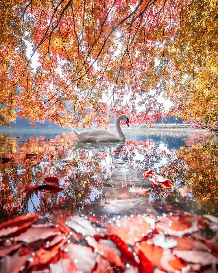 Photo By Lu Hasegawa