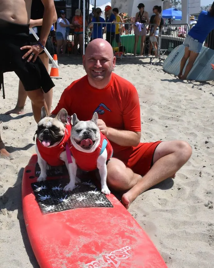 23 Surfing Dogs Riding Waves For Charity And Good Vibes