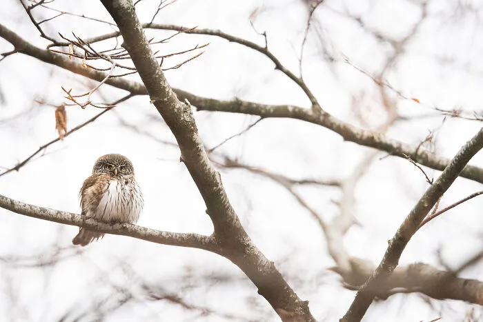 This Photographer Captures The Beauty Of Wildlife And Nature, And Here Are His 50 Best Shots