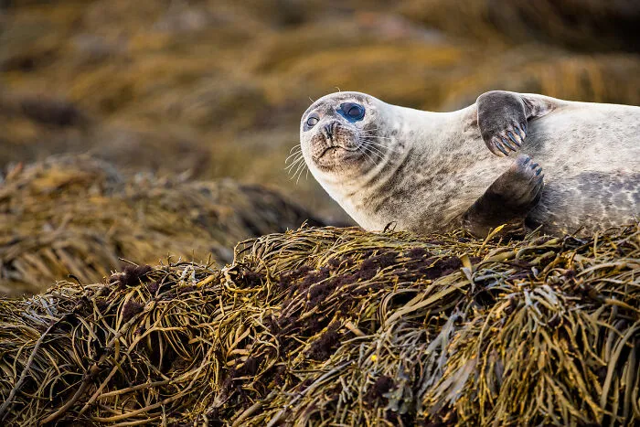 This Photographer Captures The Beauty Of Wildlife And Nature, And Here Are His 50 Best Shots