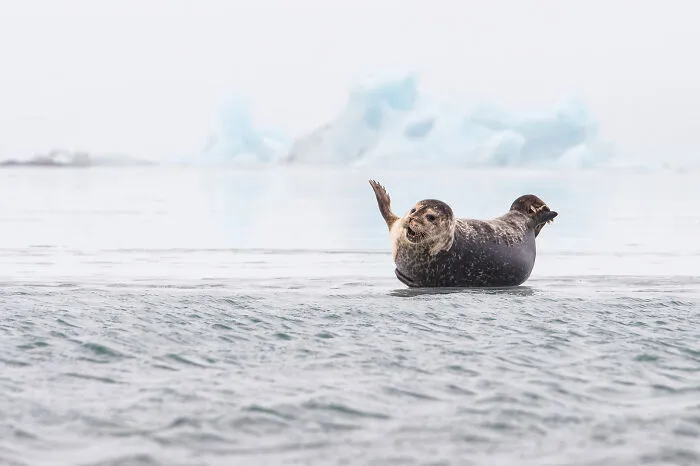 This Photographer Captures The Beauty Of Wildlife And Nature, And Here Are His 50 Best Shots