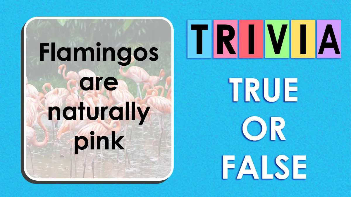 “True Or False?”: Prove Your Knowledge In This 35-Question Mind-Blowing Facts Challenge
