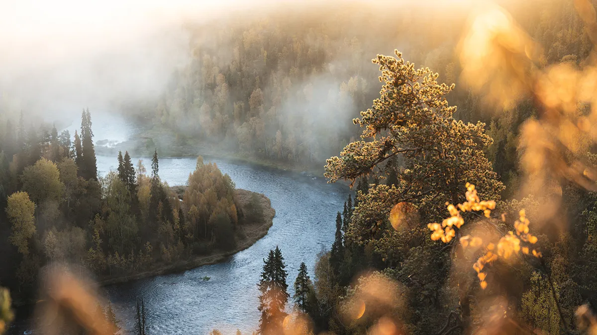 My 10 Favorite Spots To Enjoy Breathtaking Nordic Autumn
