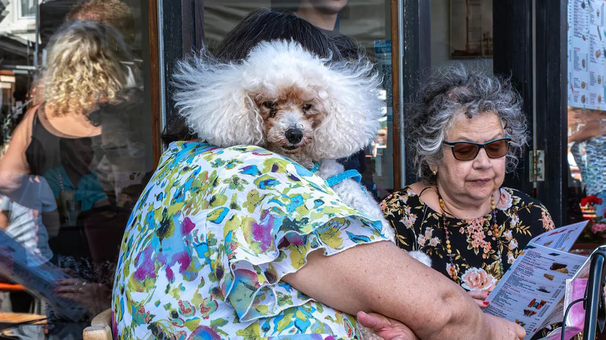 50 Stunning Photos From Around The World, As Shared On Photocrowd’s Instagram