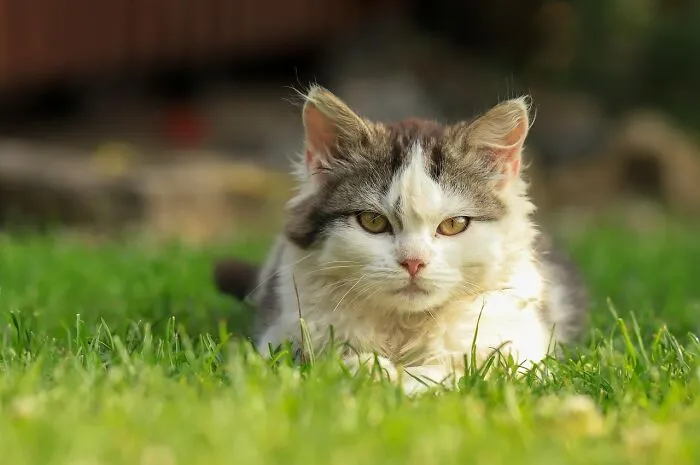 “I Laughed So Hard I Think I Peed A Little”: 42 Hilariously Petty Reasons People Got Dumped