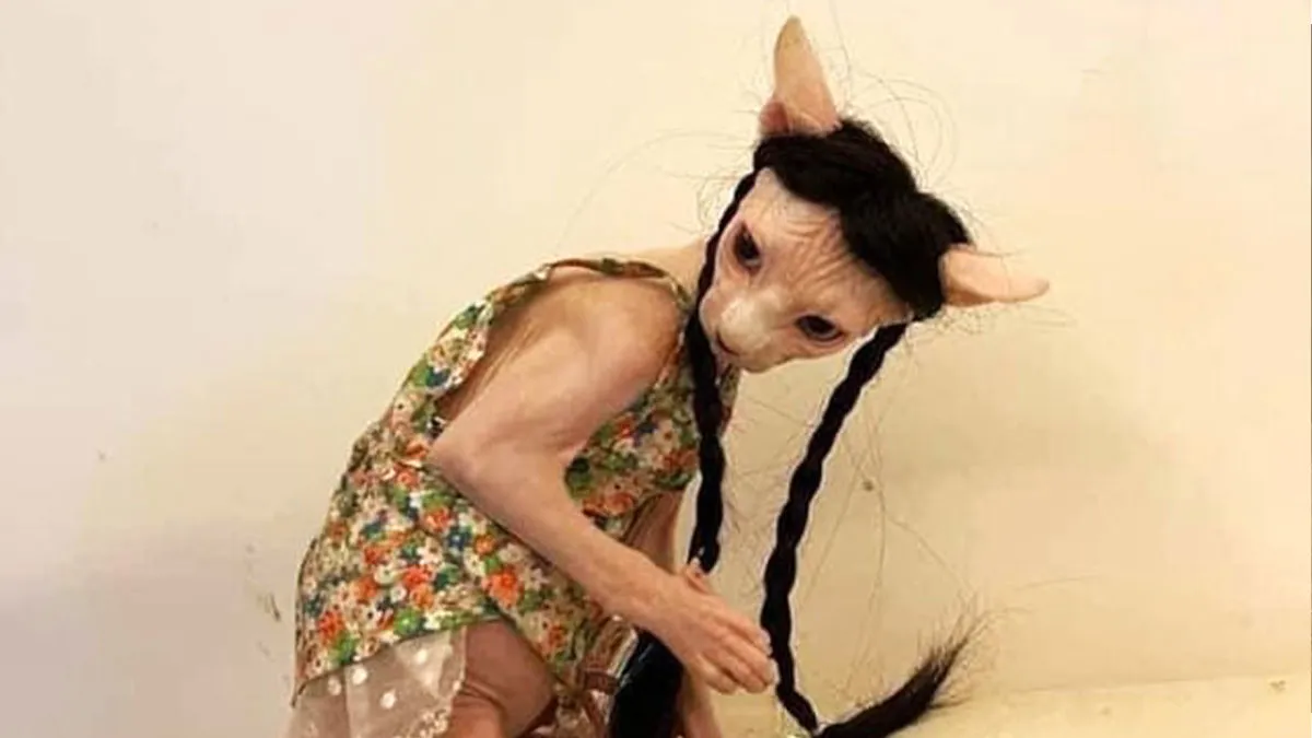 "Cats Are Aliens": 50 Pics Of Cats That Just Might Prove They're From Another Planet