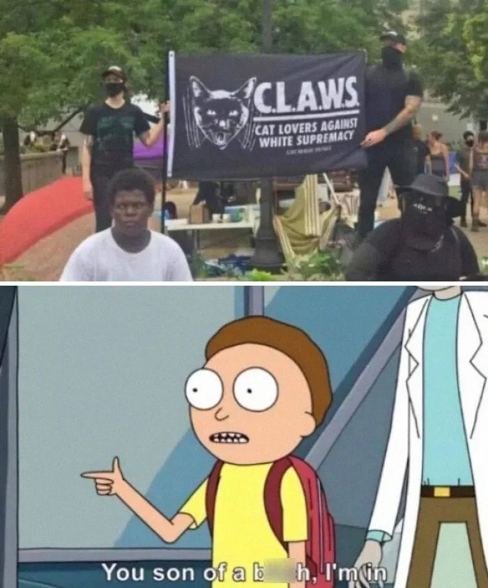 Do You Want Me To Make It Sound More Comedic Or More Serious. F**k White Supremacy