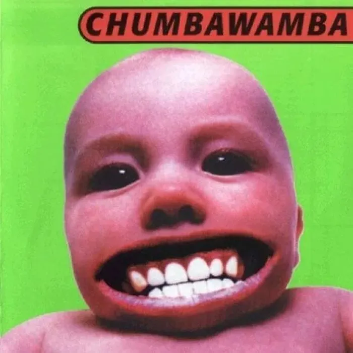 27 Album Covers So Horrible That It’s Hard To Believe Someone Actually Approved Them