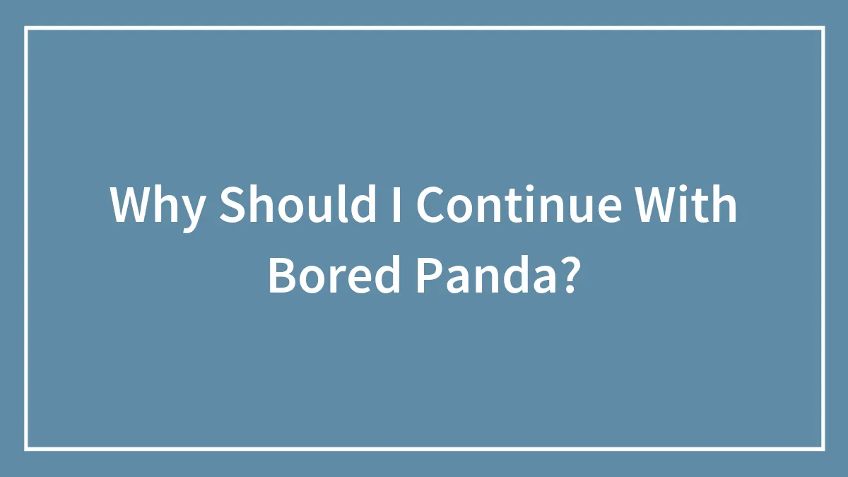 Why Should I Continue With Bored Panda?
