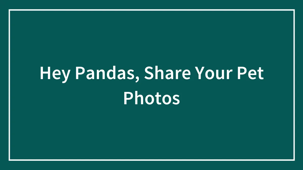 Hey Pandas, Share Your Pet Photos
