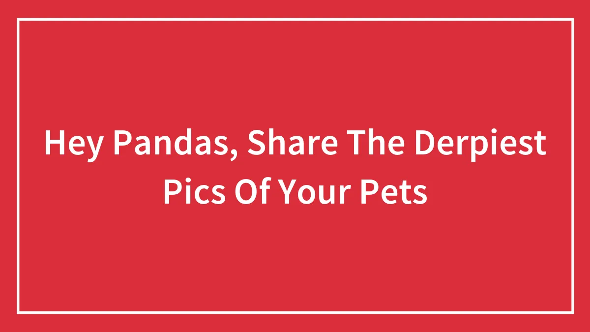 Hey Pandas, Share The Derpiest Pics Of Your Pets (Closed)