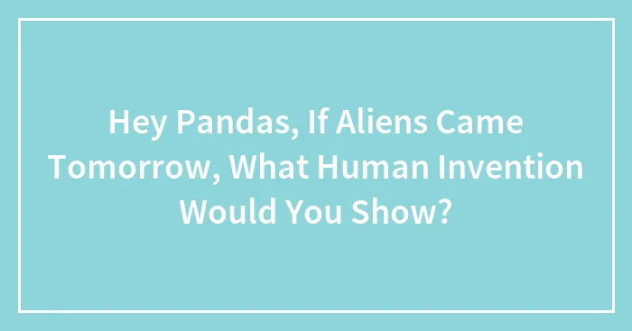 Hey Pandas, If Aliens Came Tomorrow, What Human Invention Would You Show? (Closed)