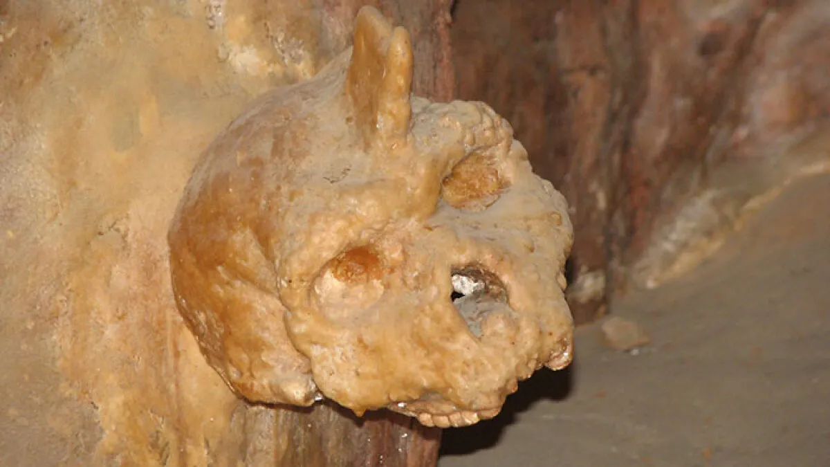 Mysterious 'Petralona Man' Skull Found In Cave 60 Years Ago Baffles Experts After New Study