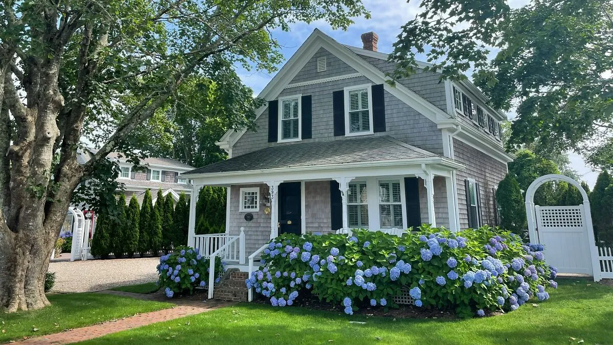 "Call The Cops": Man's Ongoing Plant Feud With House's Former Owner Goes Viral