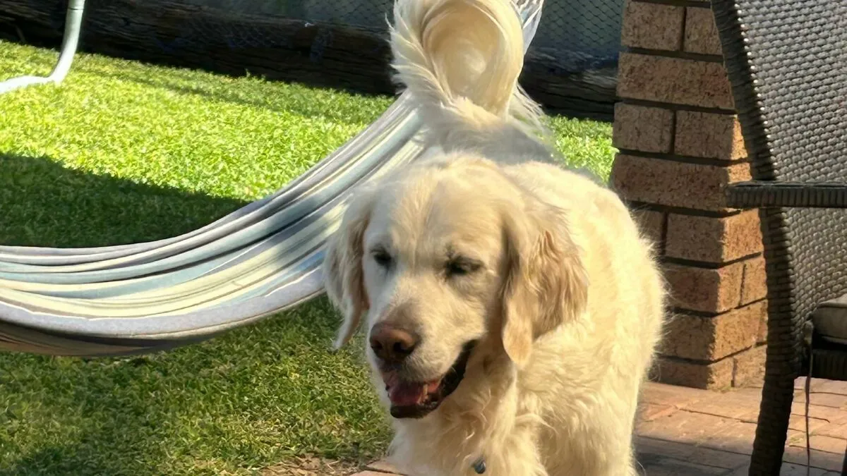 Here Are 20 Of My Dog Pics