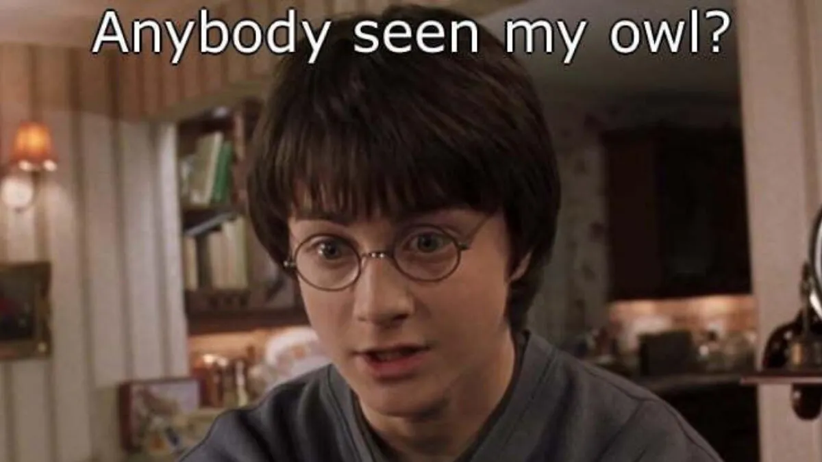 You Don’t Have To Be A Wizard To Laugh At These 35 Harry Potter Memes