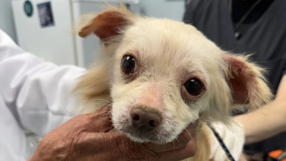 King’s Story: A Lifetime Of Neglect, Now A Fight For Healing