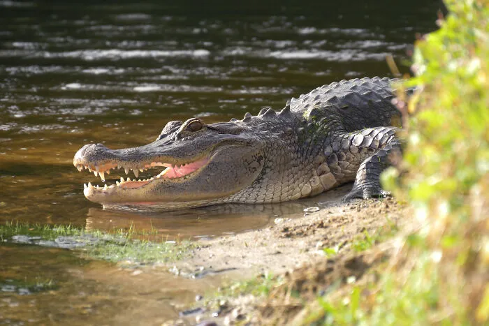20 Things Sewer Workers Found While Down Under That Weren’t Supposed To Be There