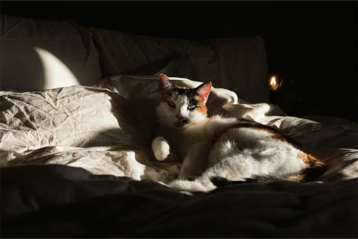 “What’s The Creepiest Thing You’ve Ever Seen That Still Haunts You To This Day?” (44 Answers)