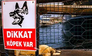 I Captured 30 Photos Revealing The Spirit Of Istanbul