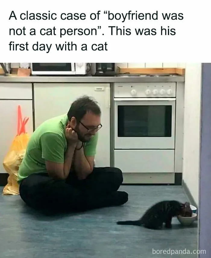 Found This Picture On Twitter And Thought It Was Precious (Not Mine!)