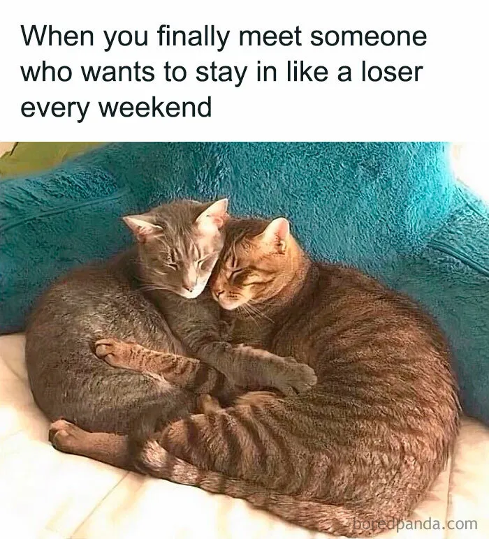 50 Unhinged Memes About Dating For Everyone Who Wants To Find Love While Also Being Left Alone