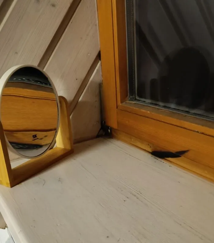 My Parents Came Back Home To This. Almost Burned Their House Down With This Concave Mirror