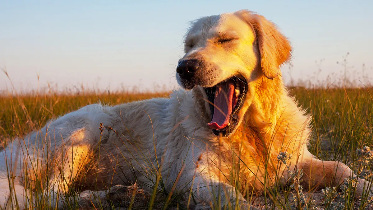 “AITA For Declining A Potential Client Because They Chewed Me Out At My Past Job And Don’t Know Who I Am?”
