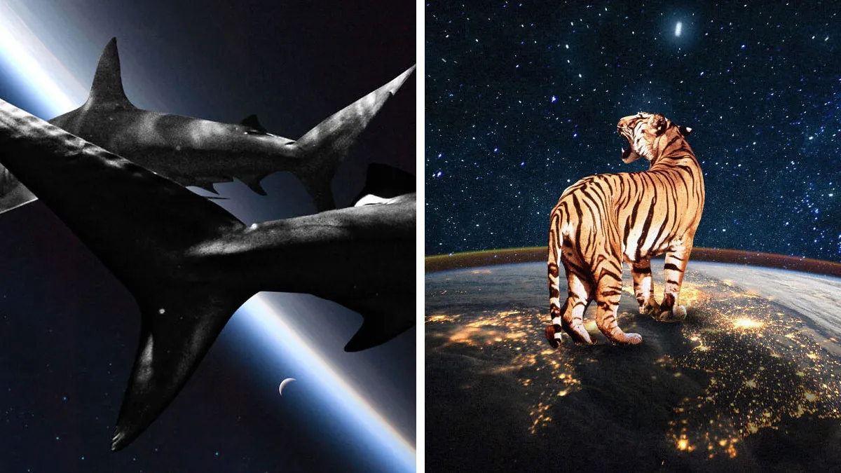 I Made 23 Digital Collages That Bend Space And Reality