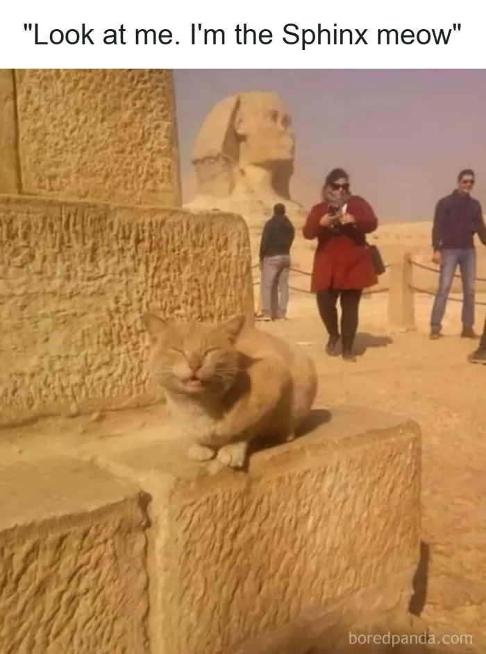 50 Hilarious Archeology And History Memes That Actually Make Learning Fun