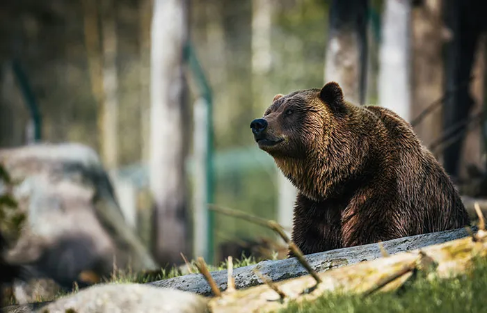 43 Facts So Weird You Might Think They’re Made Up (But They’re Not)