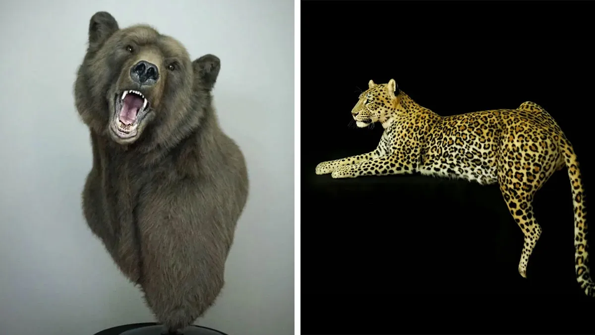 Artists From Armenia Create Lifelike Animal Replicas With Synthetic Materials Without Using Real Animals (15 Pics)