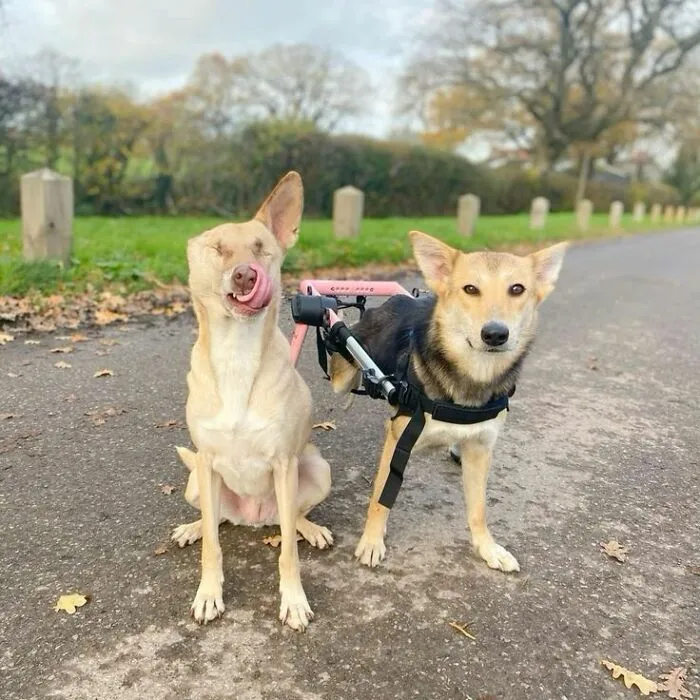 Max And Charlie Remind Us Every Single Day That Happiness Doesn’t Come From Having Everything Perfect
