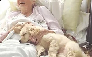 50 Wholesome Photos Of Animals That Might Have You Smiling Uncontrollably