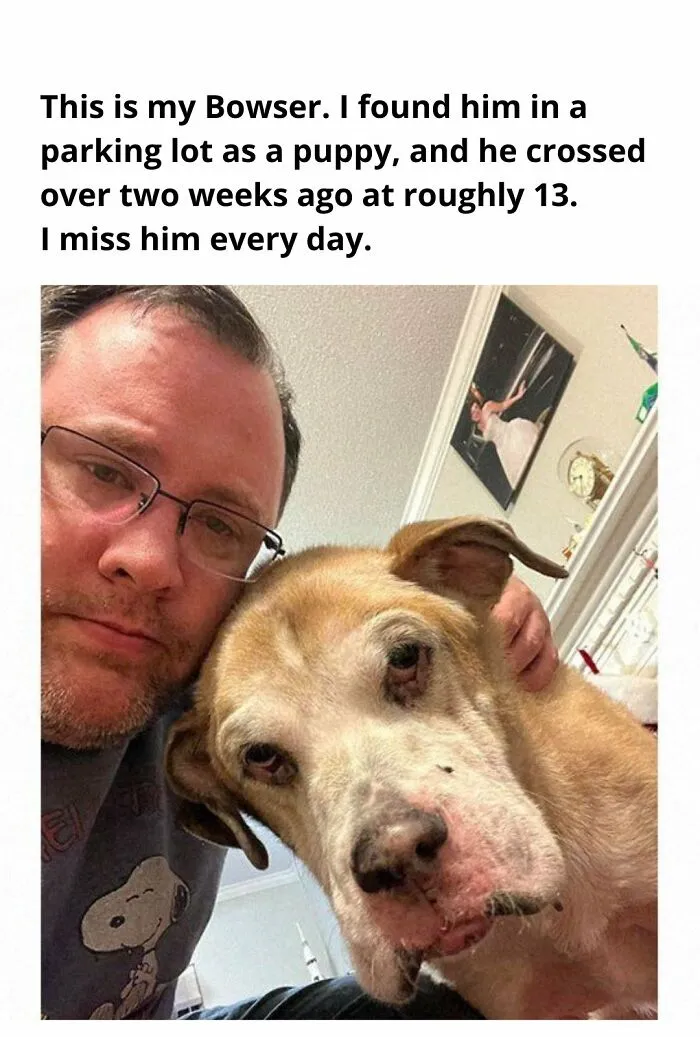 This Is My Bowser. I Found Him In A Parking Lot As A Puppy, And He Crossed Over Two Weeks Ago At Roughly 13. I Miss Him Every Day