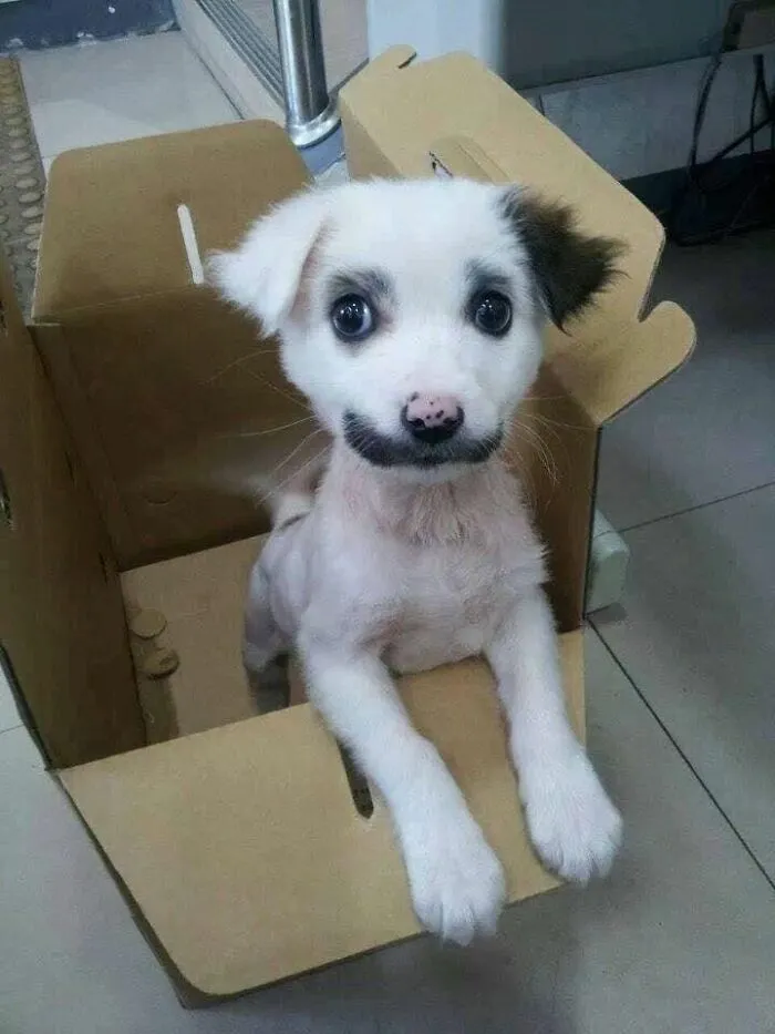 I Found Him In A Box, Placed There Like An Old Thing No One Wanted Anymore