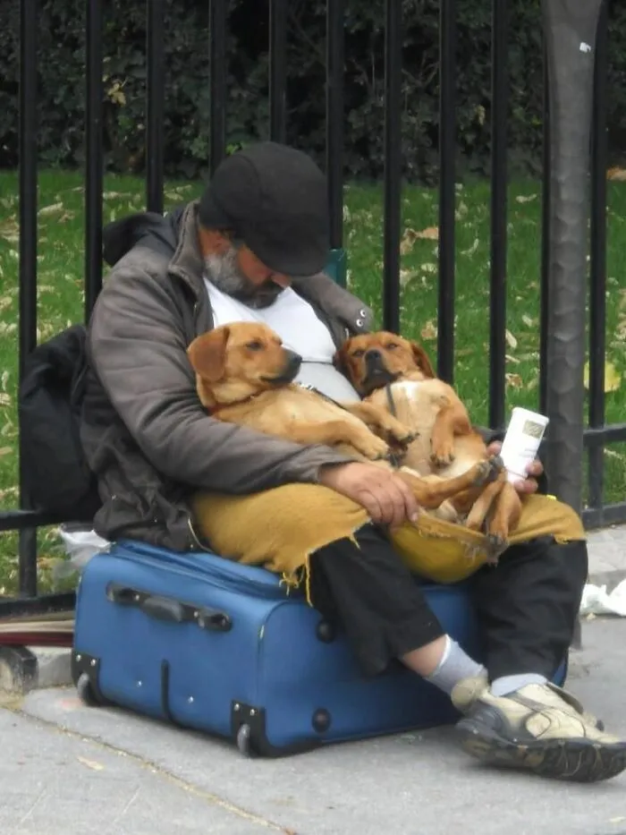 Man sitting on a suitcase in a park, holding and cuddling two dogs showing fun with animals and wholesome moments.