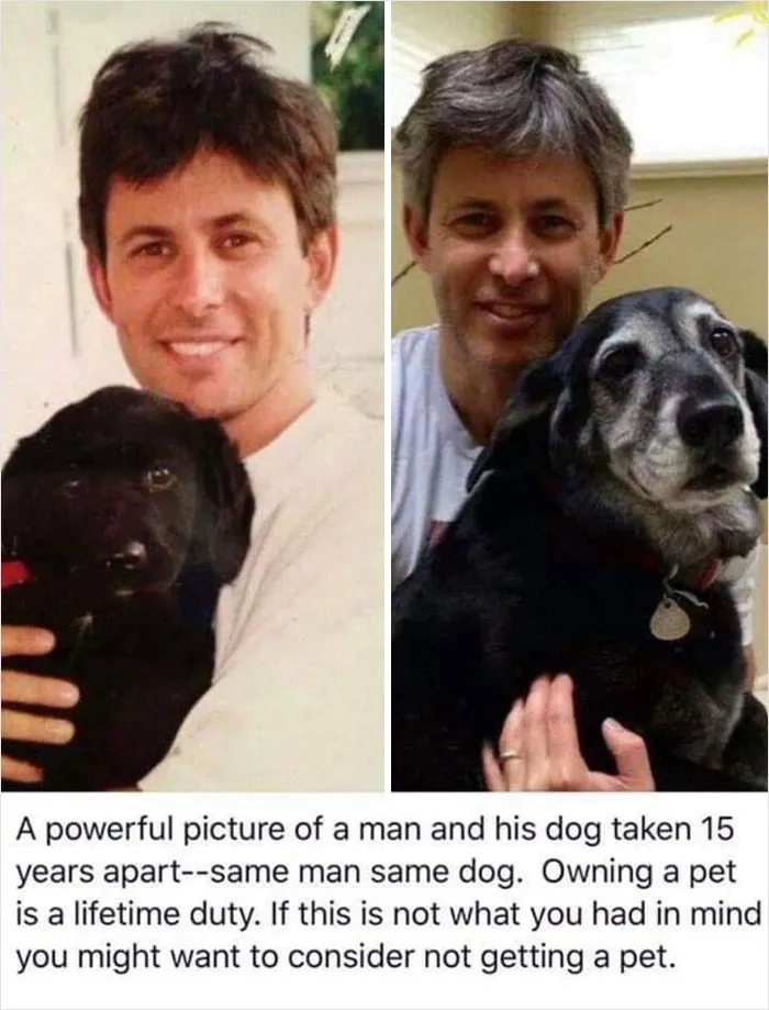 15 Years Apart