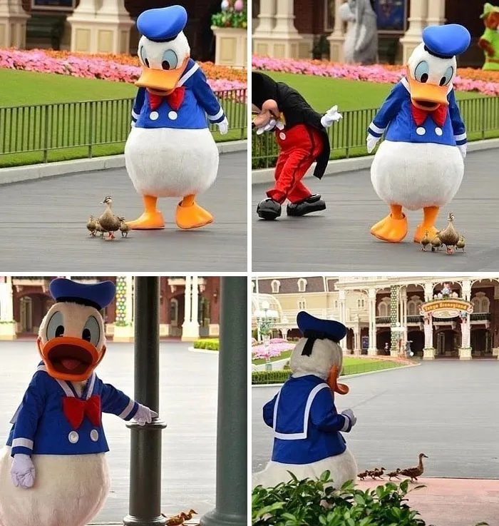 Qué bonito