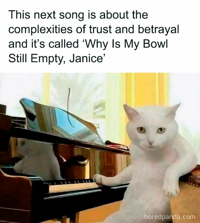 50 Memes That Blend Internet’s Most Favorite Things — Humor And Cats (New Pics)