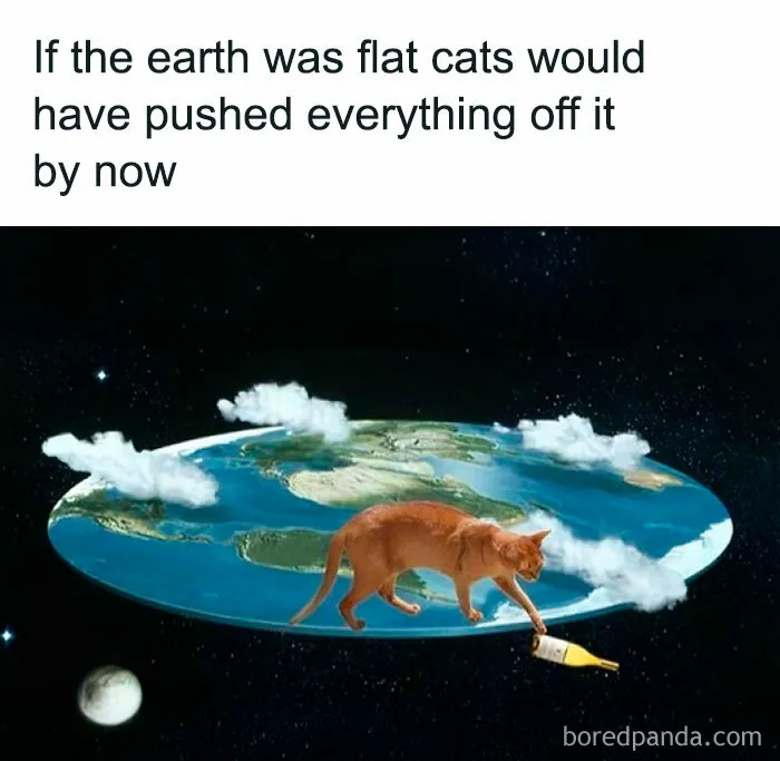 50 Memes That Blend Internet’s Most Favorite Things — Humor And Cats (New Pics)