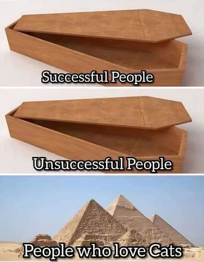 50 Memes That Blend Internet’s Most Favorite Things — Humor And Cats (New Pics)