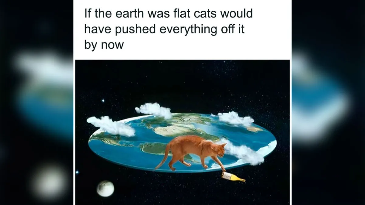 50 Memes That Blend Internet’s Most Favorite Things — Humor And Cats (New Pics)